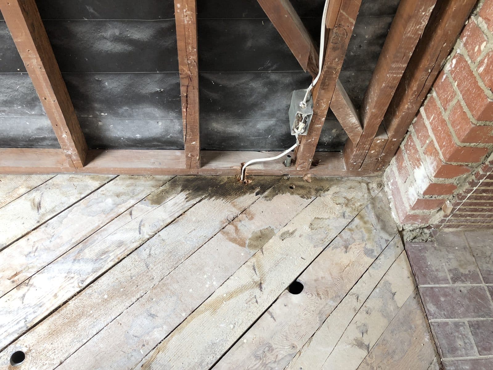Dark urine staining on plank subfloor along an exposed wall base, before treatment