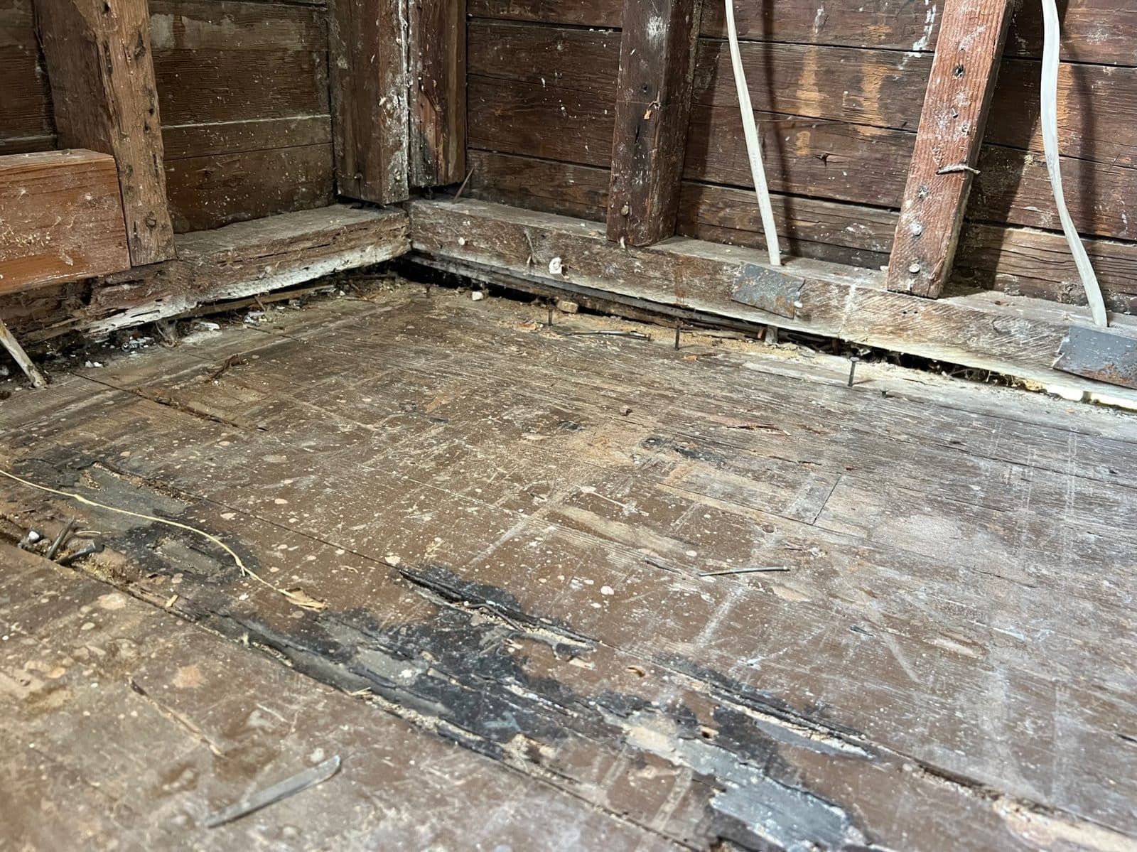 Plank subfloor exposed after hardwood removal, showing dark urine staining along the wall
