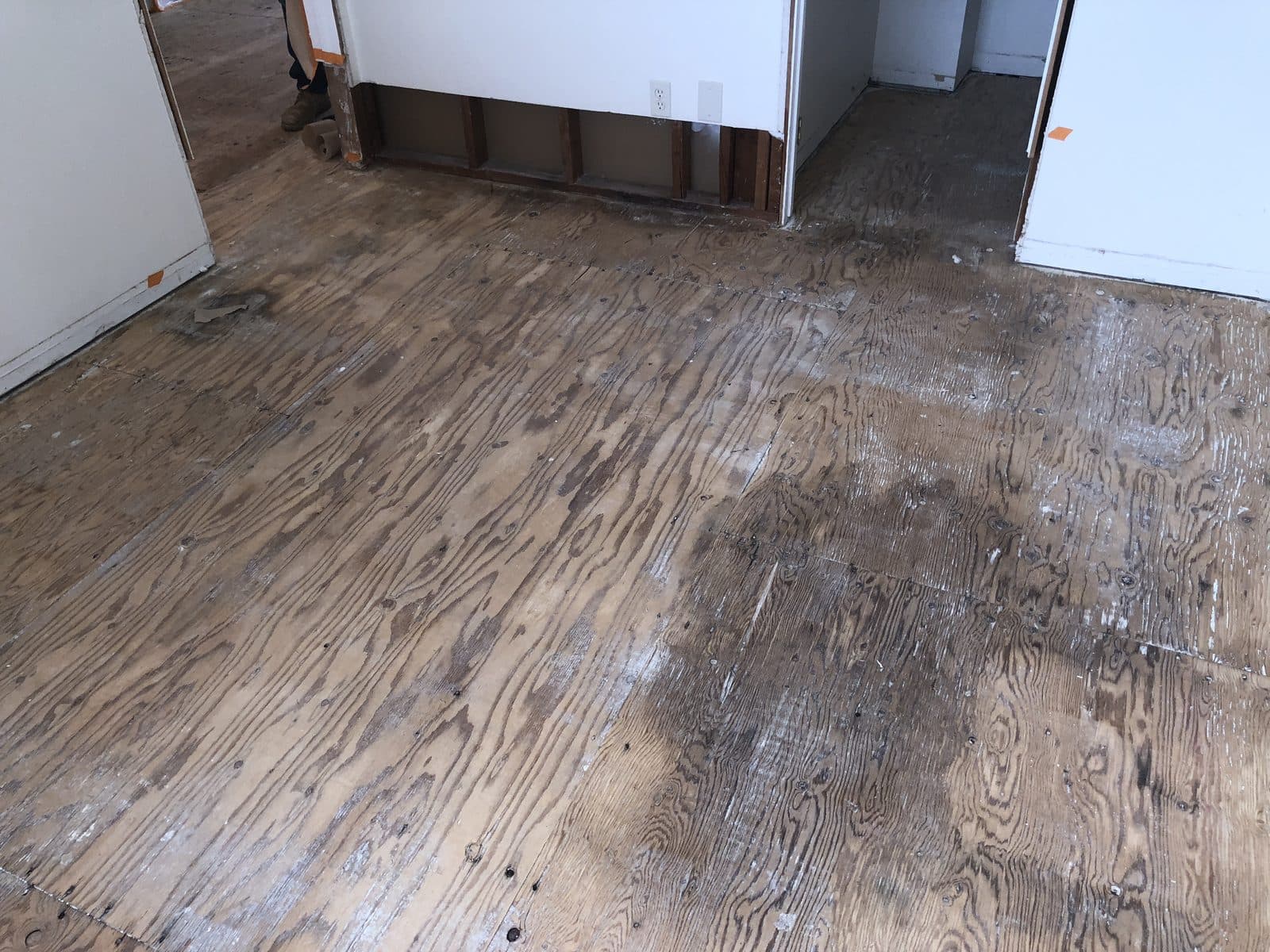 Large dark urine stain soaked into a plywood bedroom subfloor after the carpet was removed