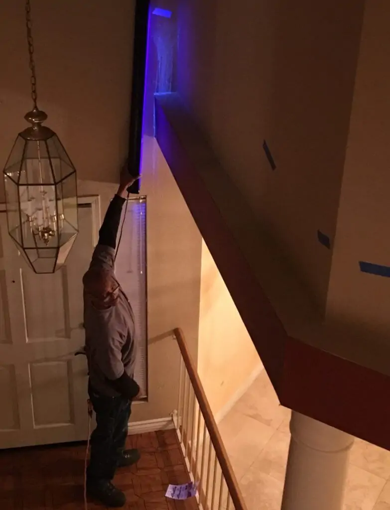 Pet Odor Removal Brazos, CA | OdorXpert 100% Guaranteed