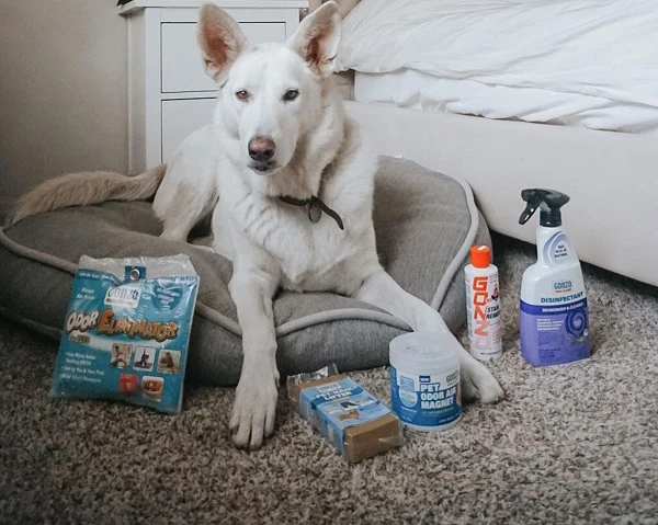 General Animal Odor Removal