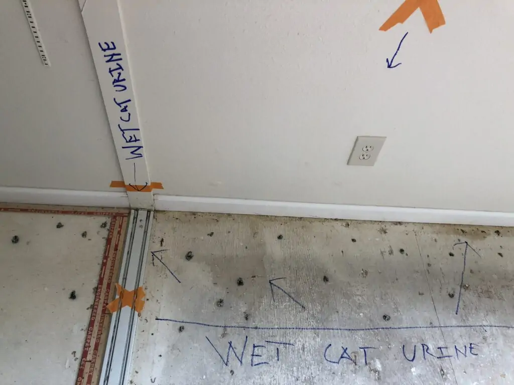 Drywall Odor Removal