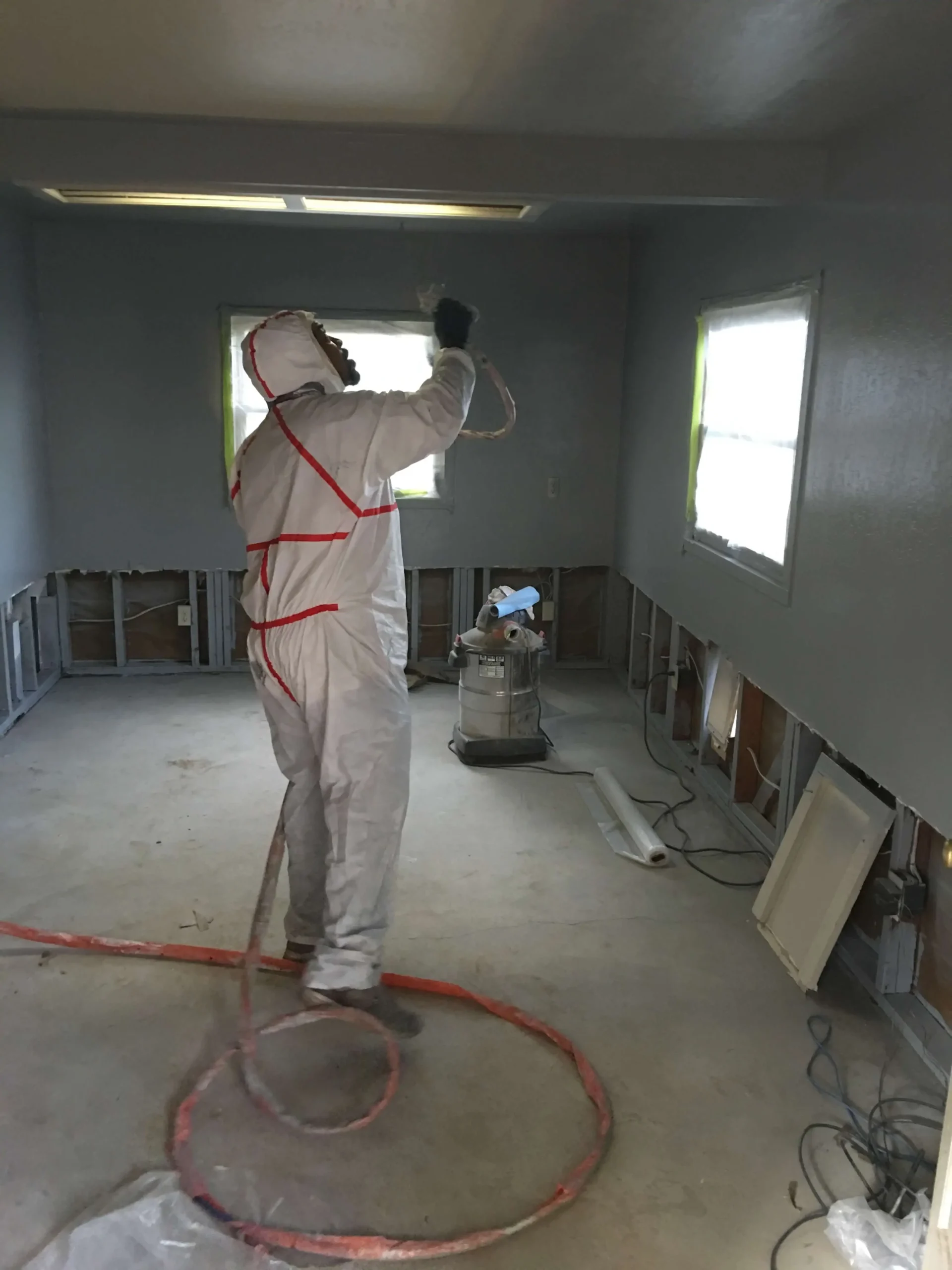 Pet Odor Removal in Solano County, CA