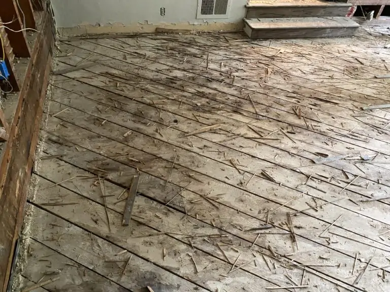 Dog Urine Odor Removal