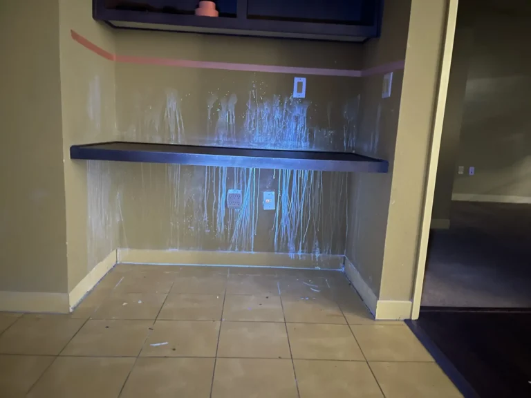 Pet Odor Removal Brazos, CA | OdorXpert 100% Guaranteed