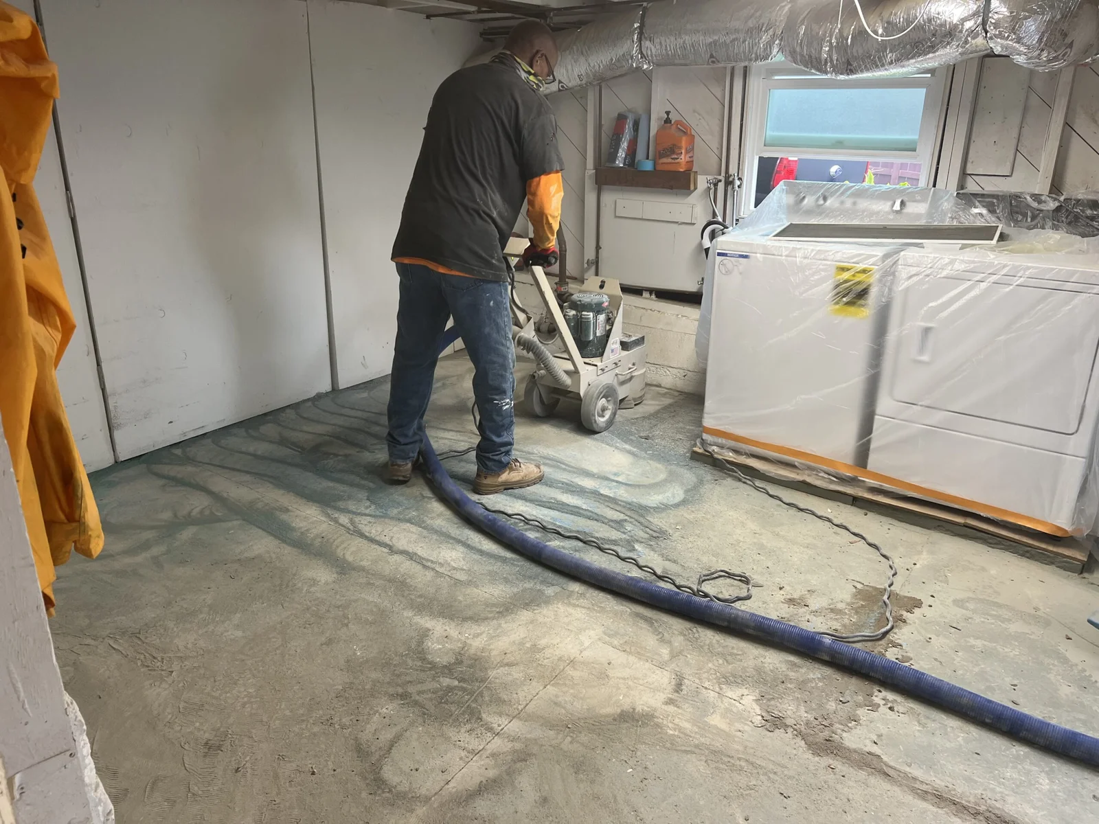 Carpet Removal