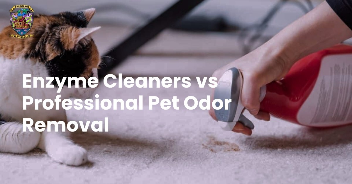 Enzyme Cleaners vs Professional Pet Odor Removal