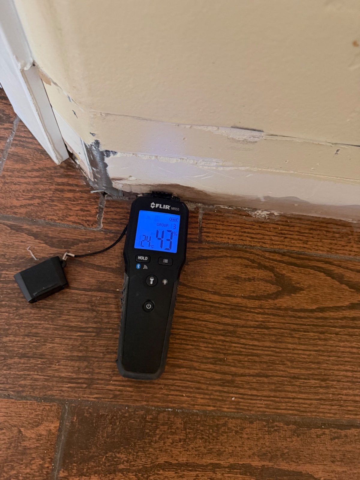 Seal Pet Urine Odor in Subfloor and Concrete