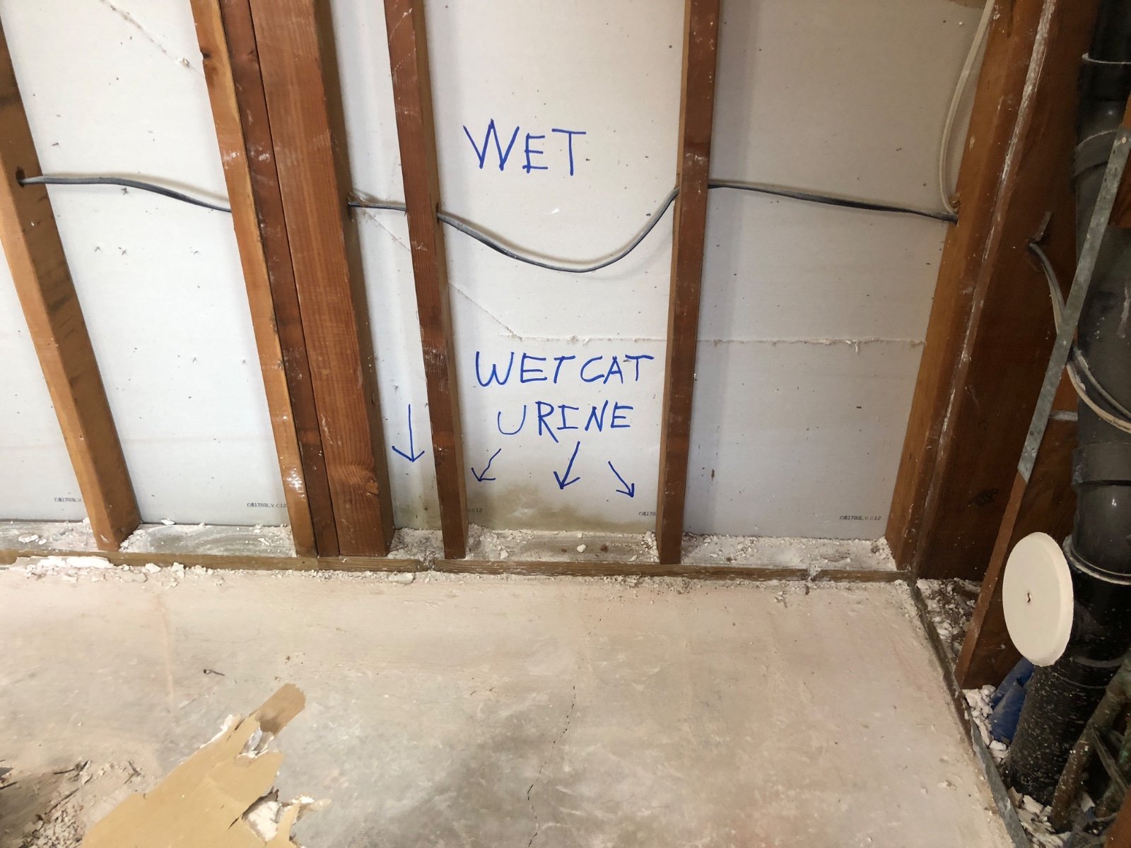 Seal Pet Urine Odor in Subfloor and Concrete