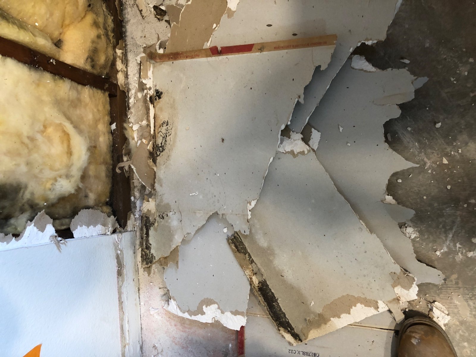 Seal Pet Urine Odor in Subfloor and Concrete